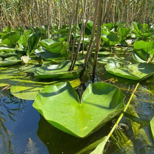 Готель Agropensiuea Casa Uncu Муругіль Екстер'єр фото