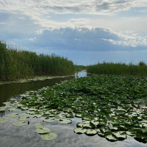Готель Agropensiuea Casa Uncu Муругіль Екстер'єр фото