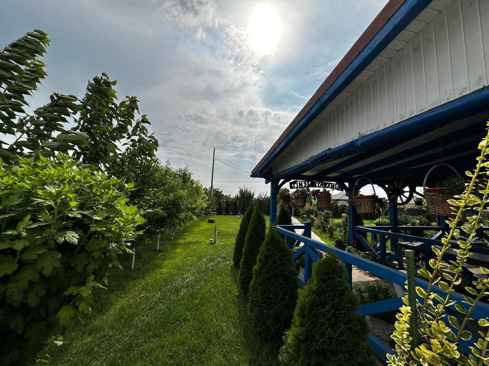 Готель Agropensiuea Casa Uncu Муругіль Екстер'єр фото